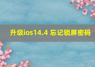 升级ios14.4 忘记锁屏密码